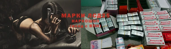 крисы Магас