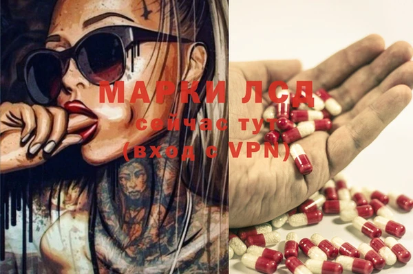 spice Магадан
