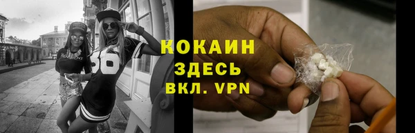 крисы Магас