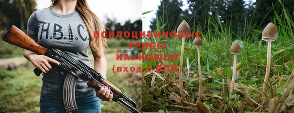 spice Магадан