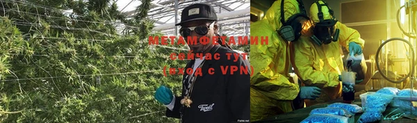 крисы Магас