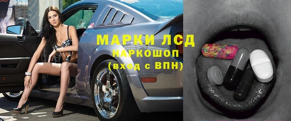 крисы Магас