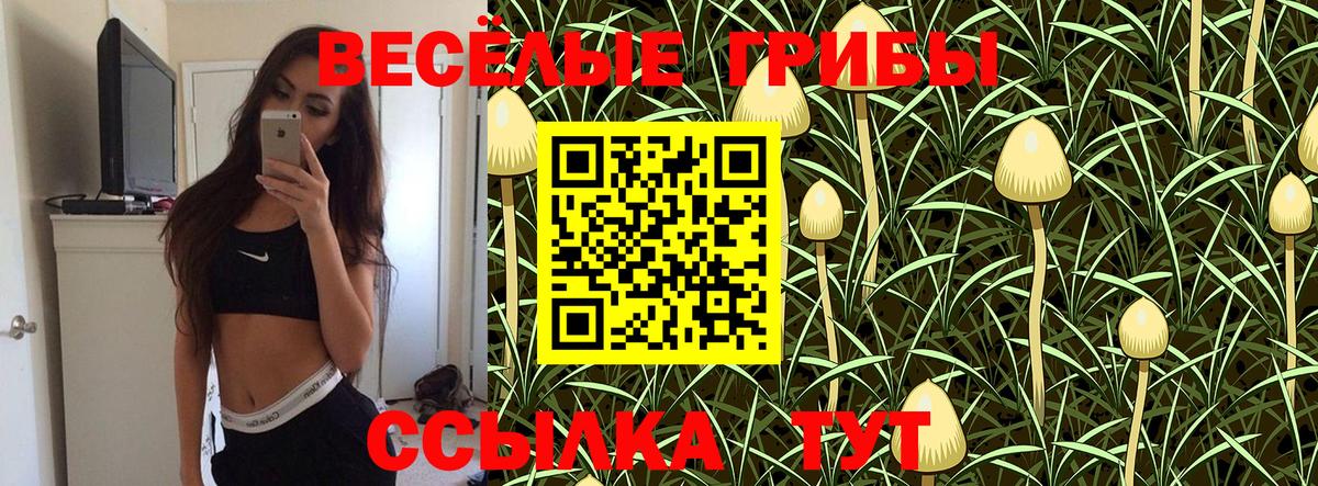 Галлюциногенные грибы ЛСД Ялта
