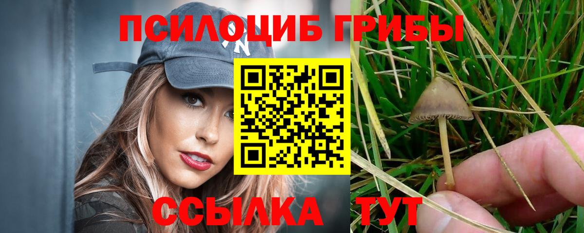 Псилоцибиновые грибы Psilocybine cubensis  Галлюциногенные грибы MAGIC MUSHROOMS  где купить наркотик  Ялта  Вход с VPN 