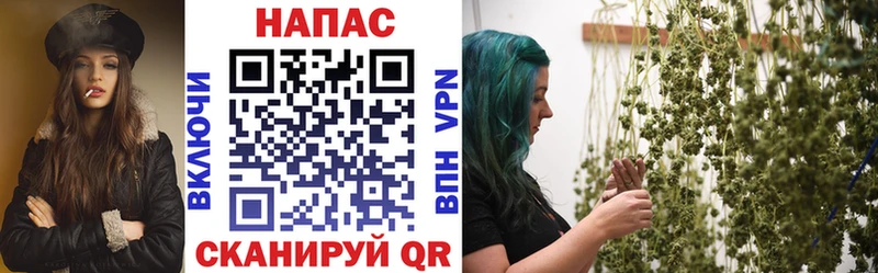 закладка  Ялта  Каннабис ГИДРОПОН 