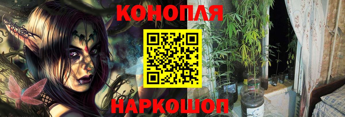 Конопля SATIVA & INDICA Ялта